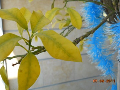 DSCN0262.jpg