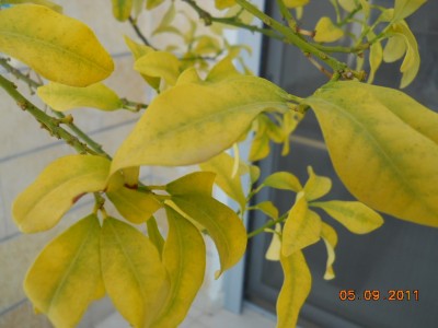 DSCN0263.jpg