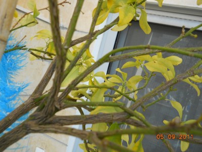 DSCN0264.jpg