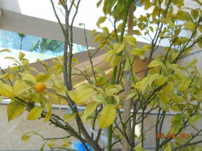 DSCN0265.jpg