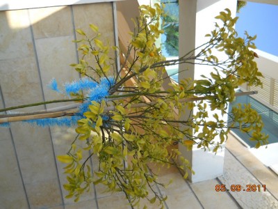 DSCN0266.jpg