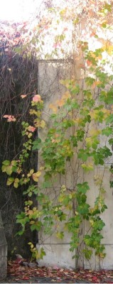 IMG_02442.jpg