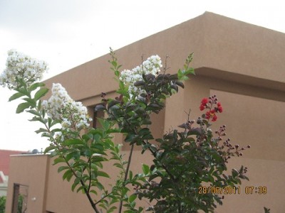 IMG_4560_s.jpg