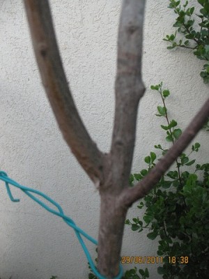 IMG_4565_s.jpg
