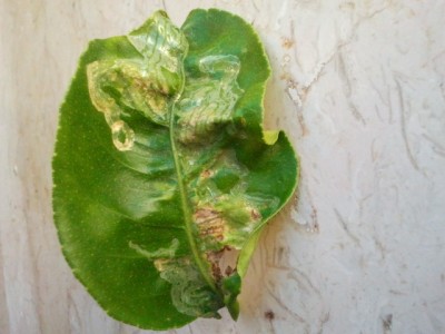 2011-07-19 17.53.37.jpg