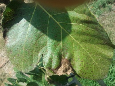 2011-07-25 13.07.36.jpg