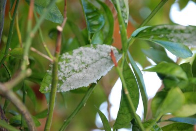 DSC_1149.JPG