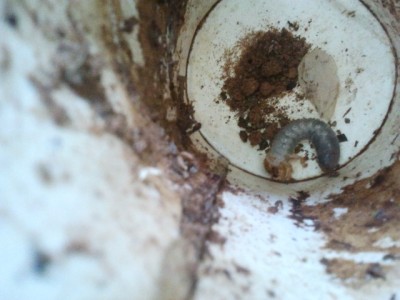 2011-07-29 12.06.39.jpg