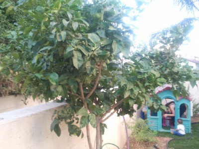 2011-07-24 18.26.42.jpg