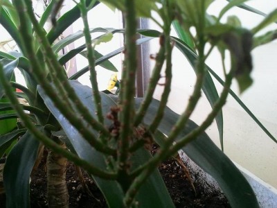2011-08-13 11.09.42.jpg