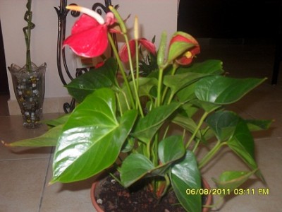SDC15590.JPG