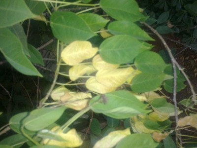 19082011049s.jpg