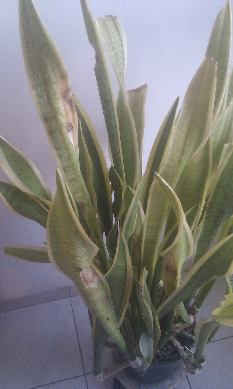 image001.jpg