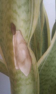 image002.jpg