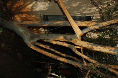 DSC_0041 (993 x 660).jpg