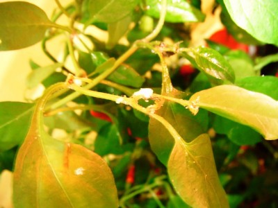 DSCF0748.jpg