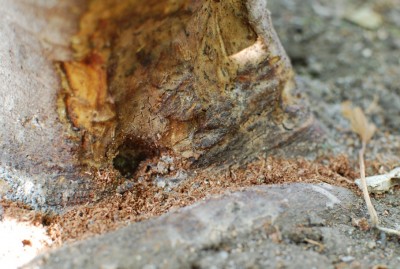 DSC_0023.JPG