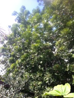 photo 1.JPG
