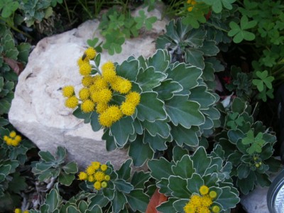 PICT0040.JPG