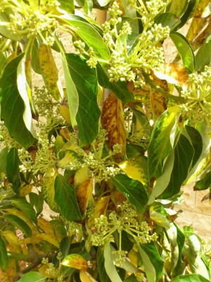 IMG-20120320-WA0000.jpg