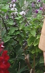 img1.jpg
