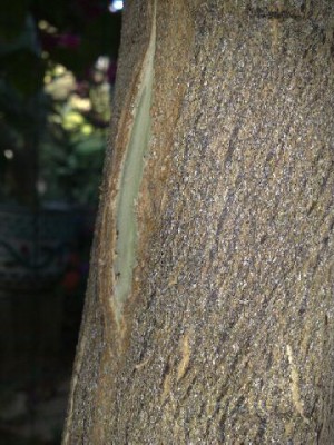 07052012776.jpg