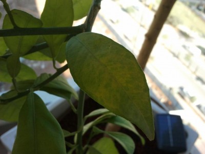 2012-05-11 17.03.11.jpg