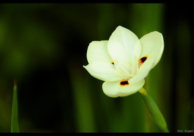 DSC_4759.jpg