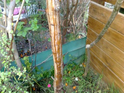 20052012790.jpg