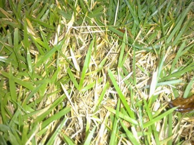 22052012365.jpg
