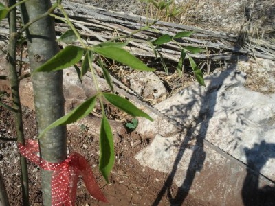 2012-06-10 08.48.55.jpg