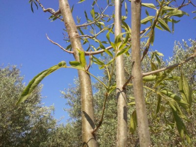 2012-06-10 08.49.04.jpg