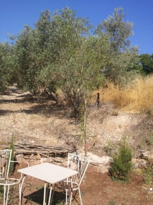 2012-06-10 08.49.29.jpg