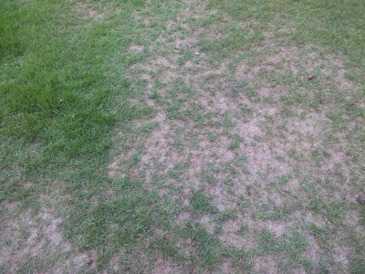 20120612_184918.jpg