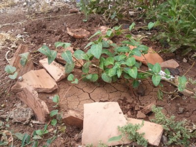 2012-07-05 09.49.38.jpg