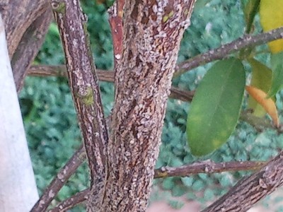 2012-07-12 19.05.13.jpg