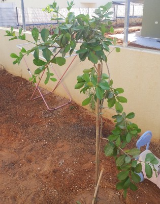 20120715_074544.jpg