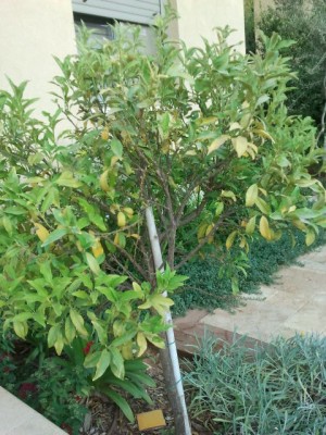 2012-07-12 19.04.08.jpg