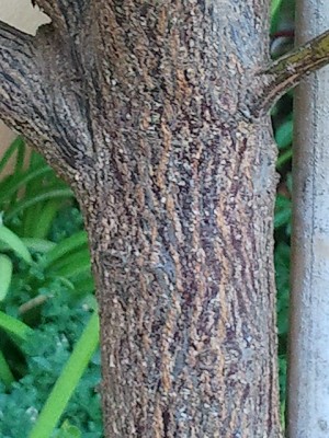 2012-07-12 19.05.43.jpg