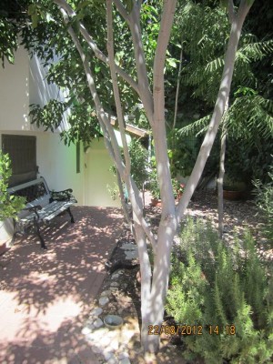 Picture124 002 מוקטן.JPG