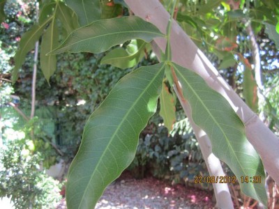Picture124 007 מוקטן.JPG