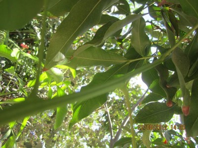 Picture124 006 מוקטן.JPG