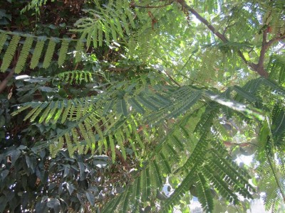 Picture124 017 קטן.JPG