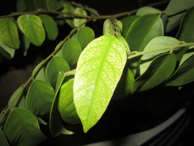 Picture124 022 מוקטן.JPG