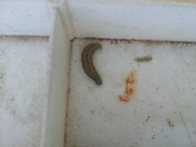 20120928_101020.jpg