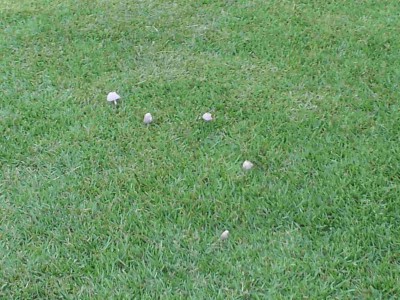 20120630_063207.jpg