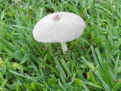 20120630_063310.jpg