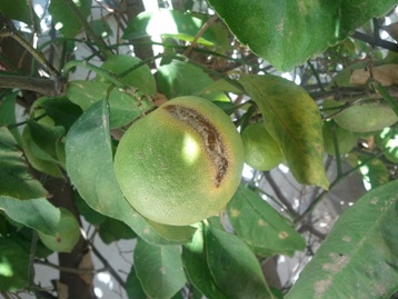 2012-10-09 10.39.15.jpg