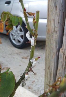 20121028_153358.jpg