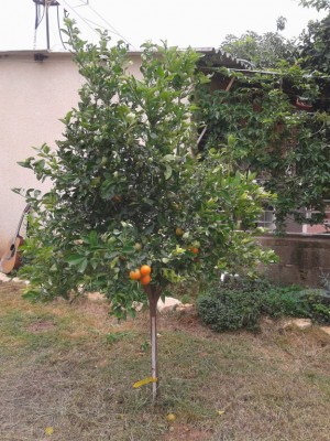 20121127_091925_small.jpg